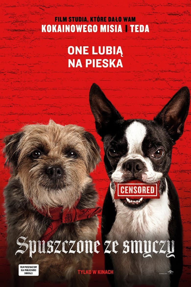 Ảnh poster