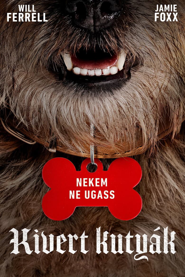 Ảnh poster