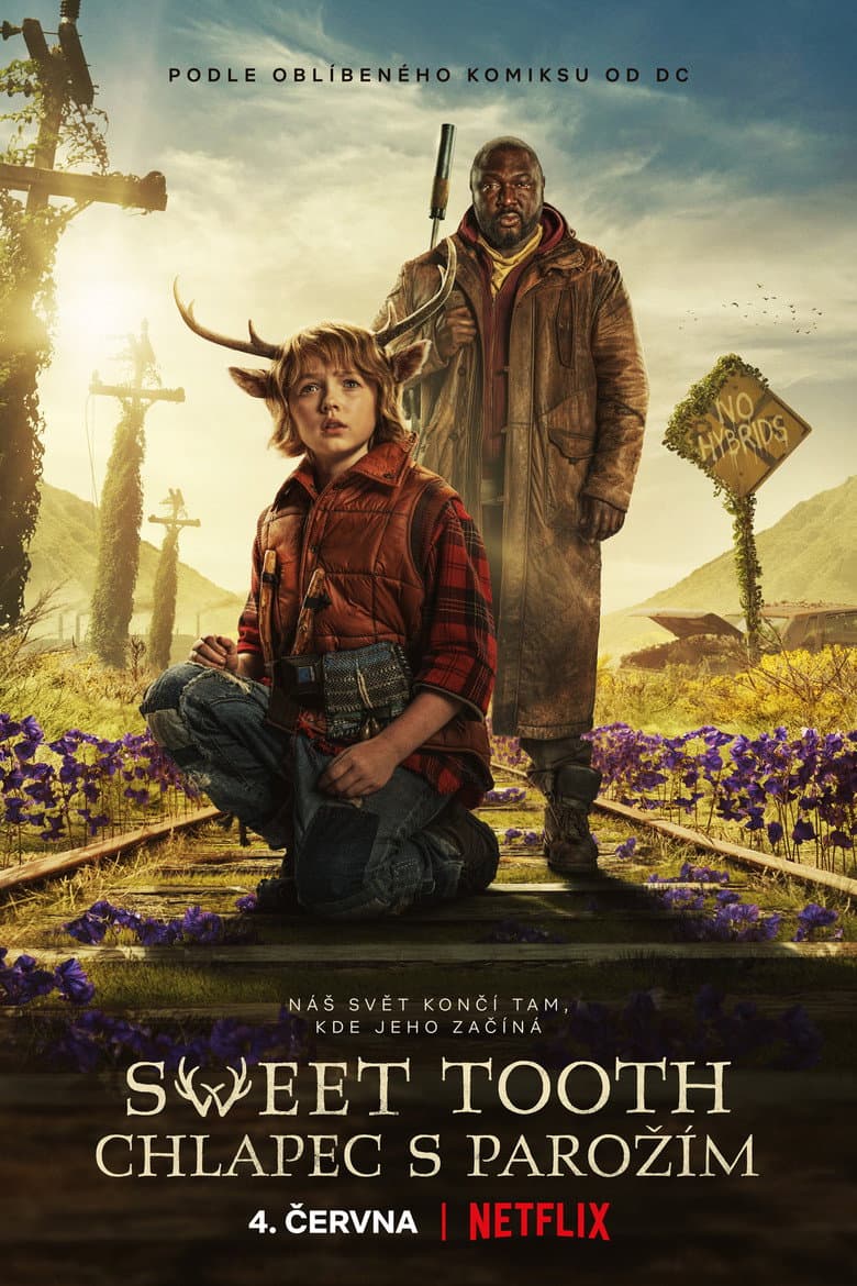 Ảnh poster