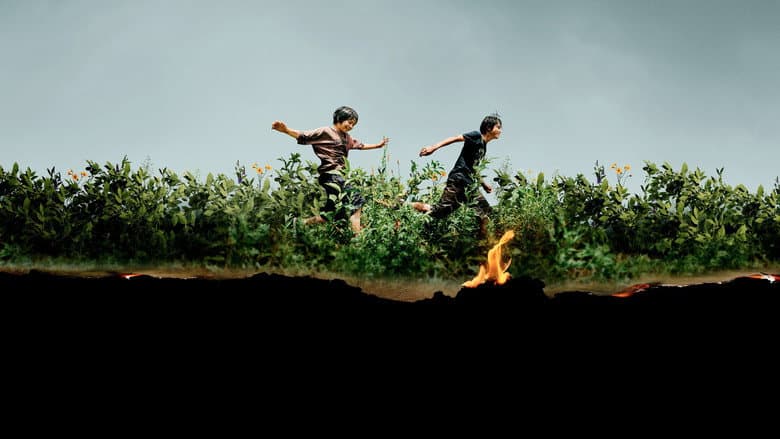 Ảnh backdrop
