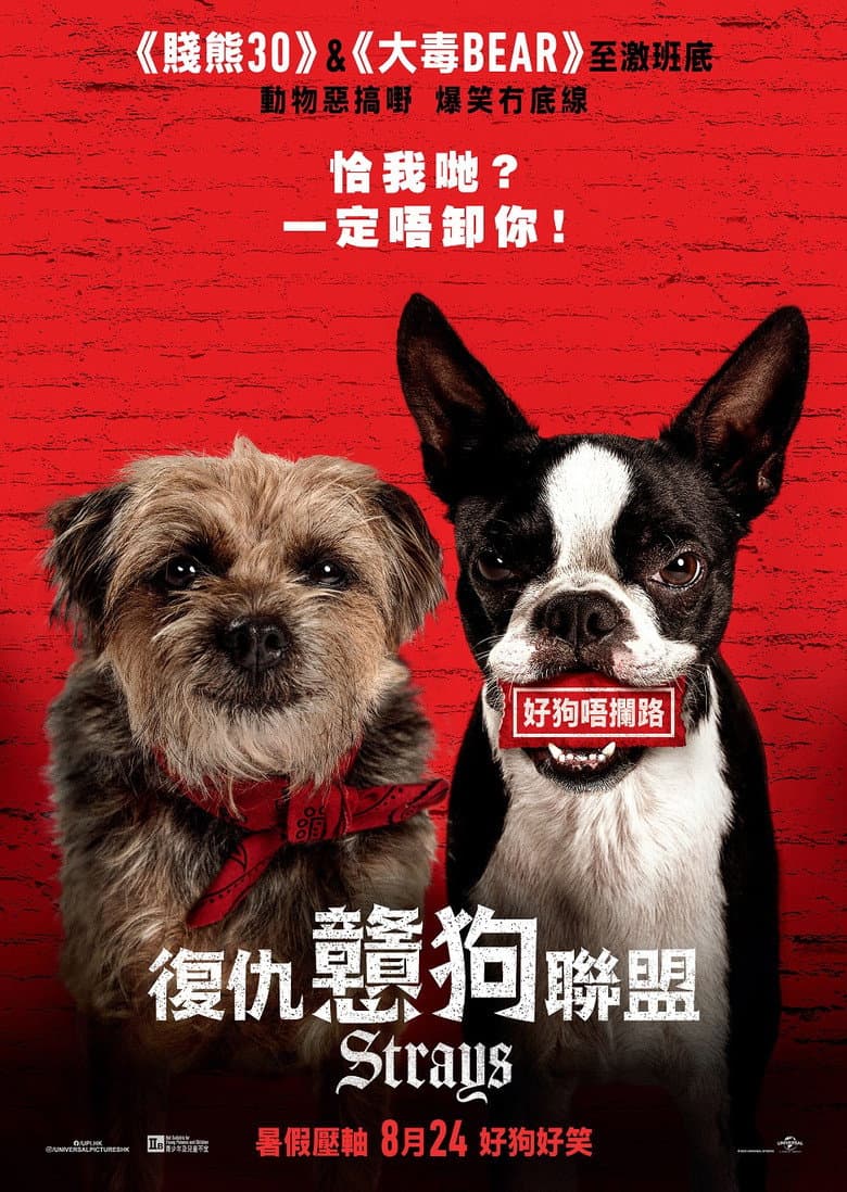 Ảnh poster
