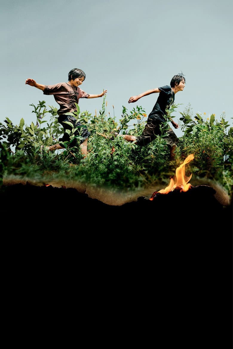 Ảnh poster