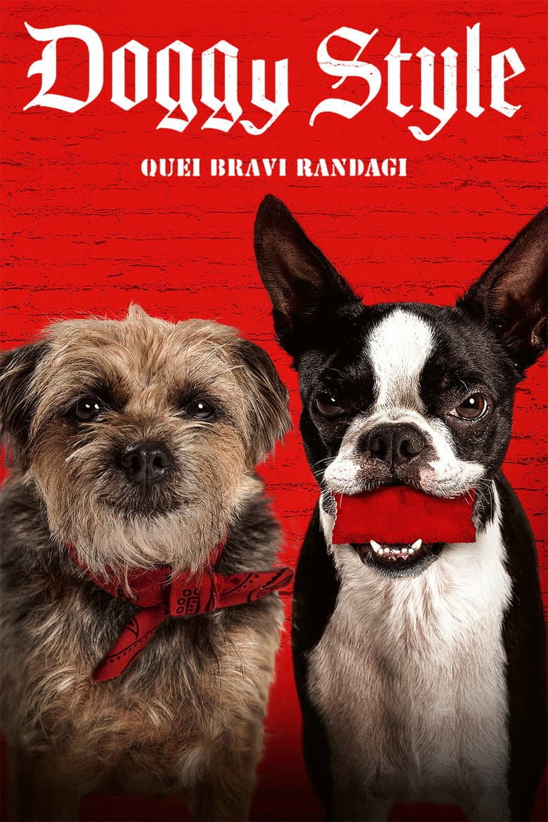 Ảnh poster