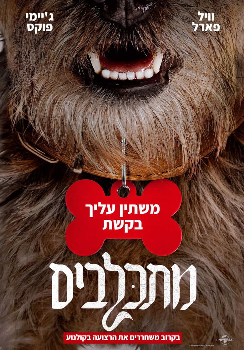 Ảnh poster