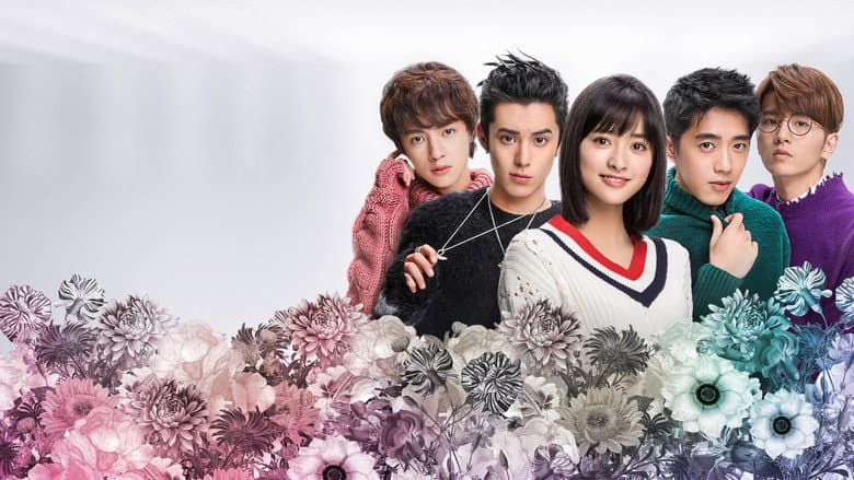 Ảnh backdrop