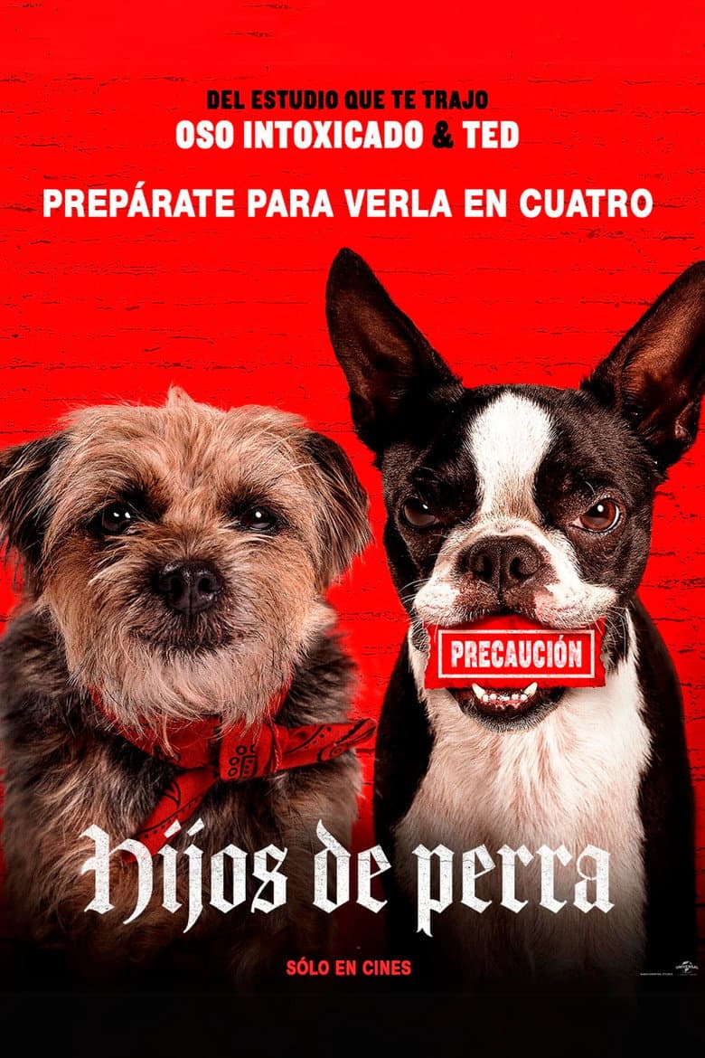 Ảnh poster