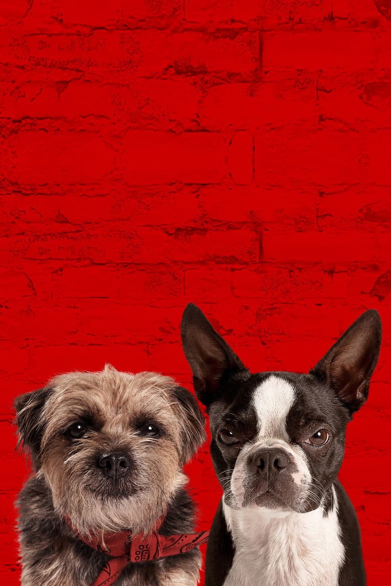 Ảnh poster