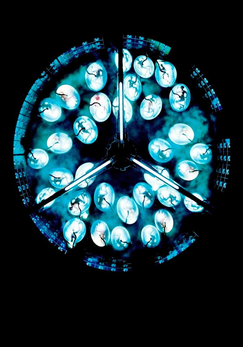 Ảnh poster