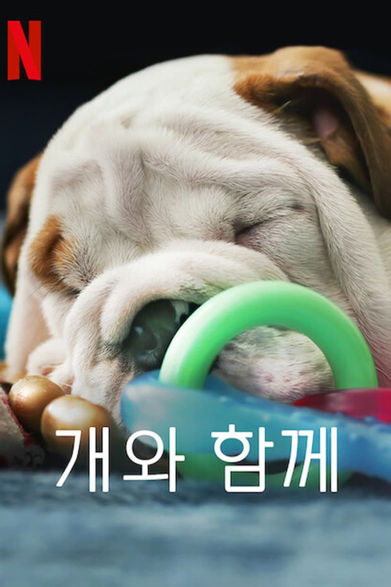 Ảnh poster