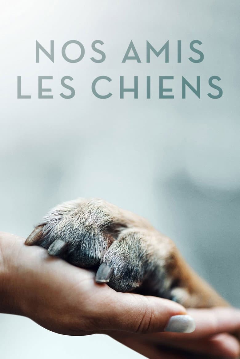 Ảnh poster