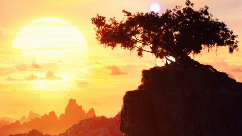 Ảnh backdrop