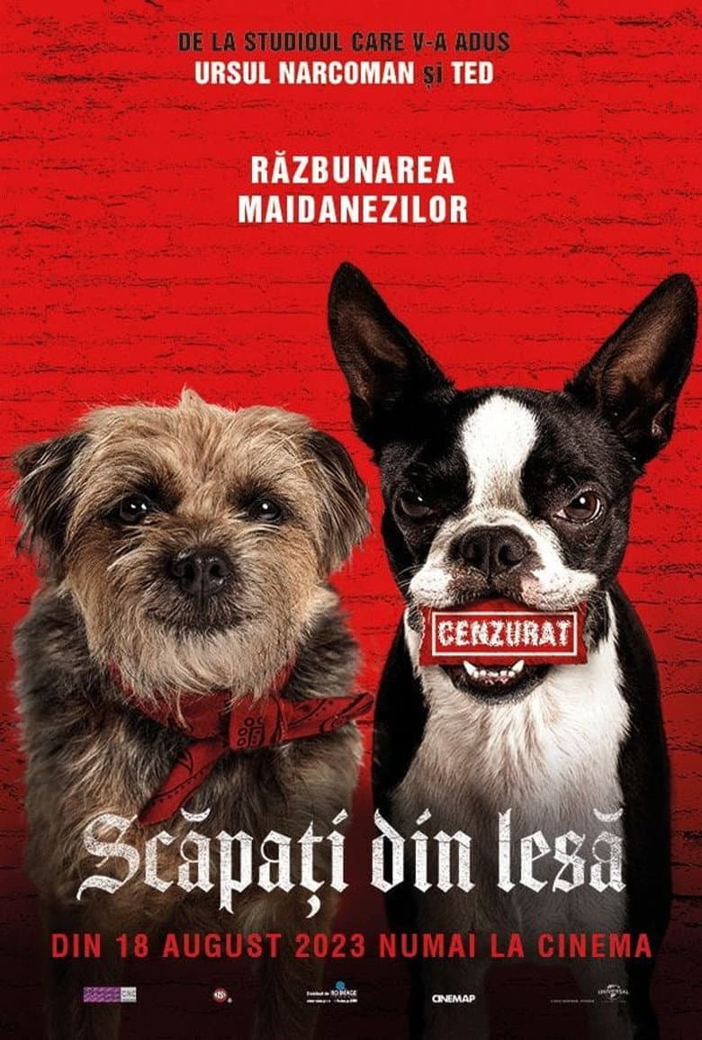 Ảnh poster