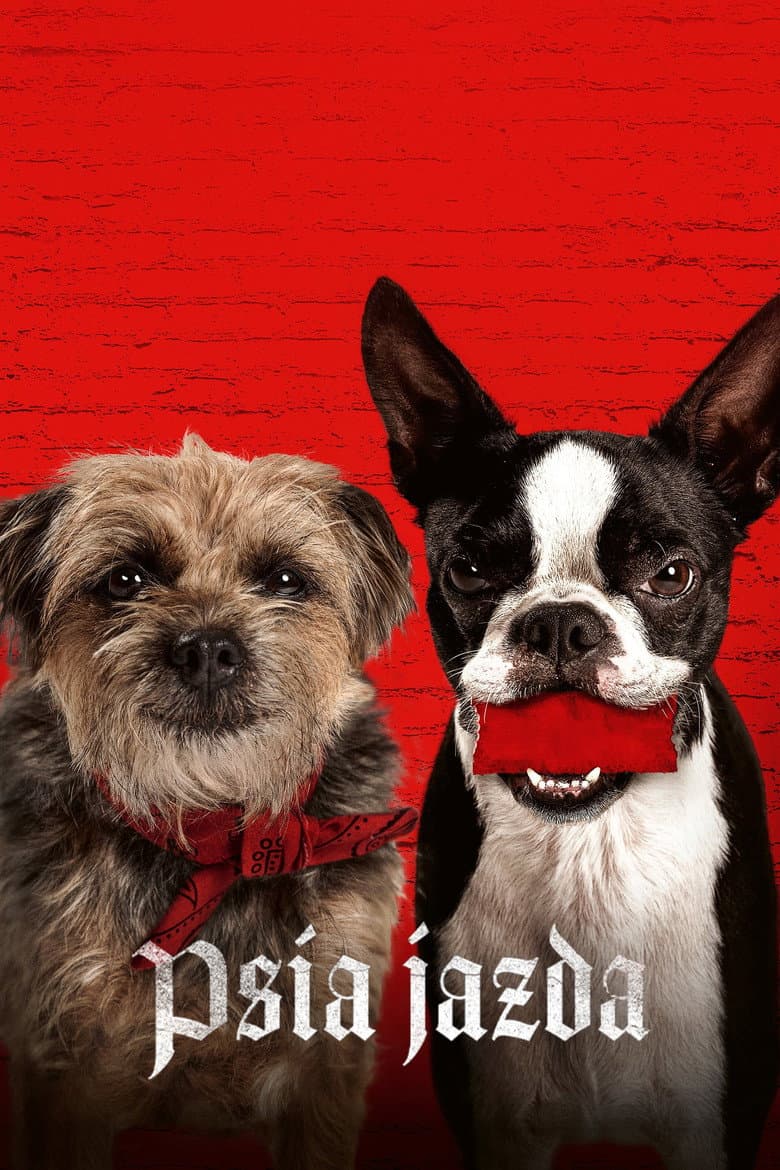 Ảnh poster