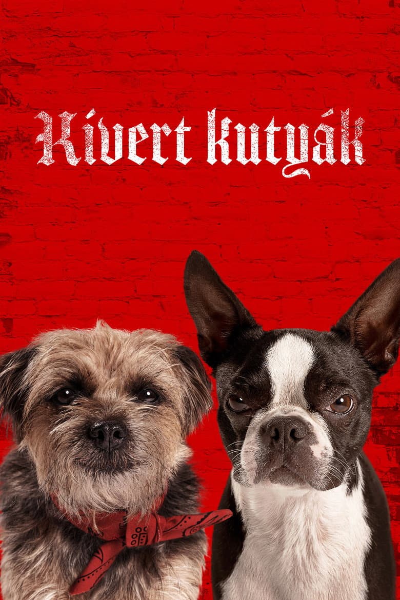 Ảnh poster