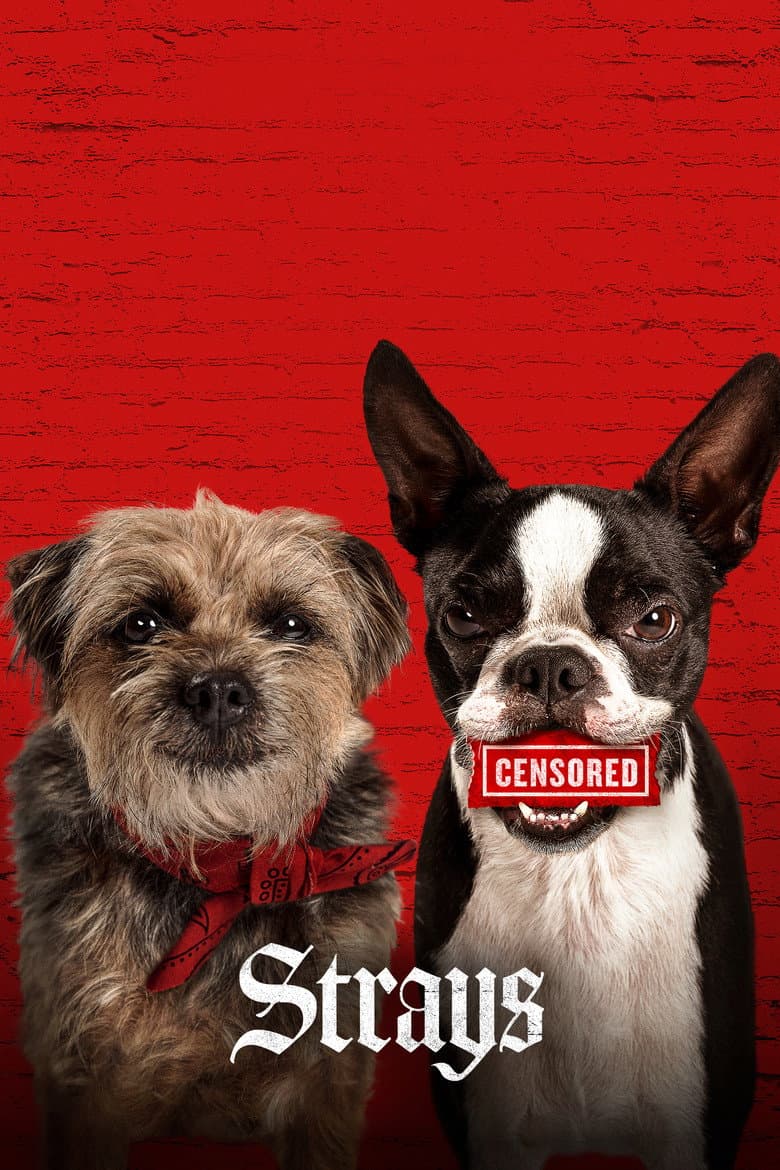 Ảnh poster