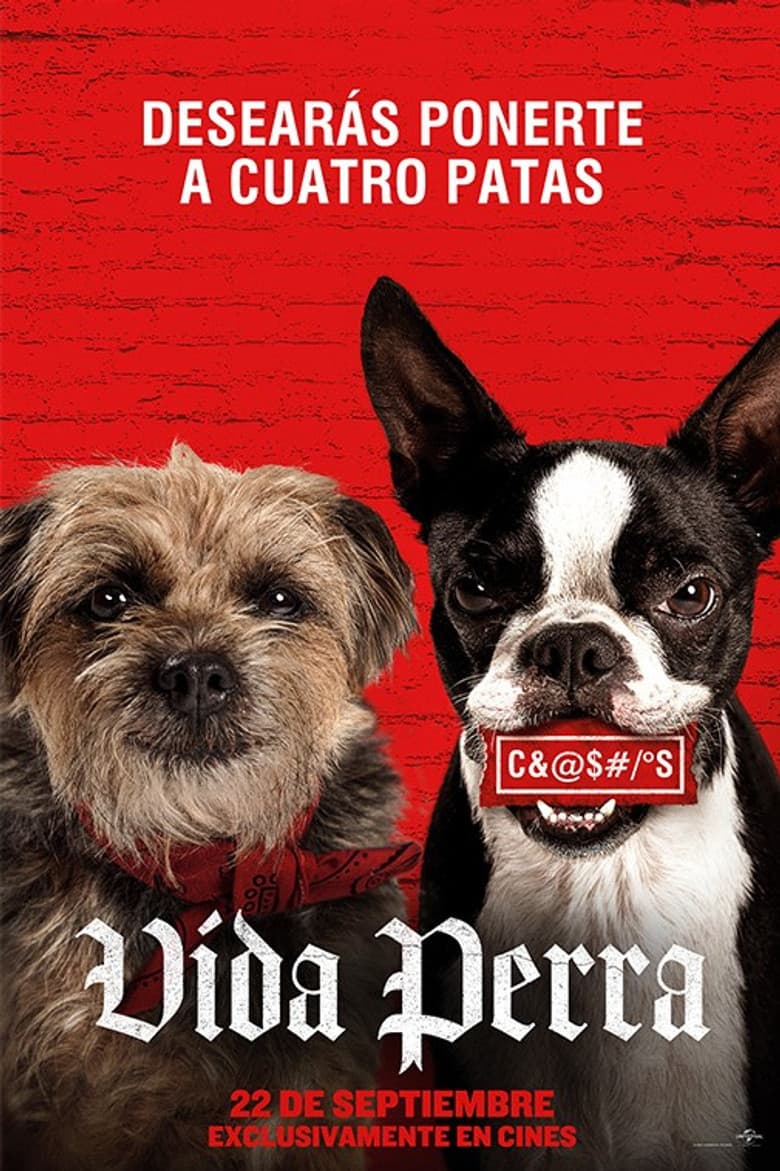 Ảnh poster