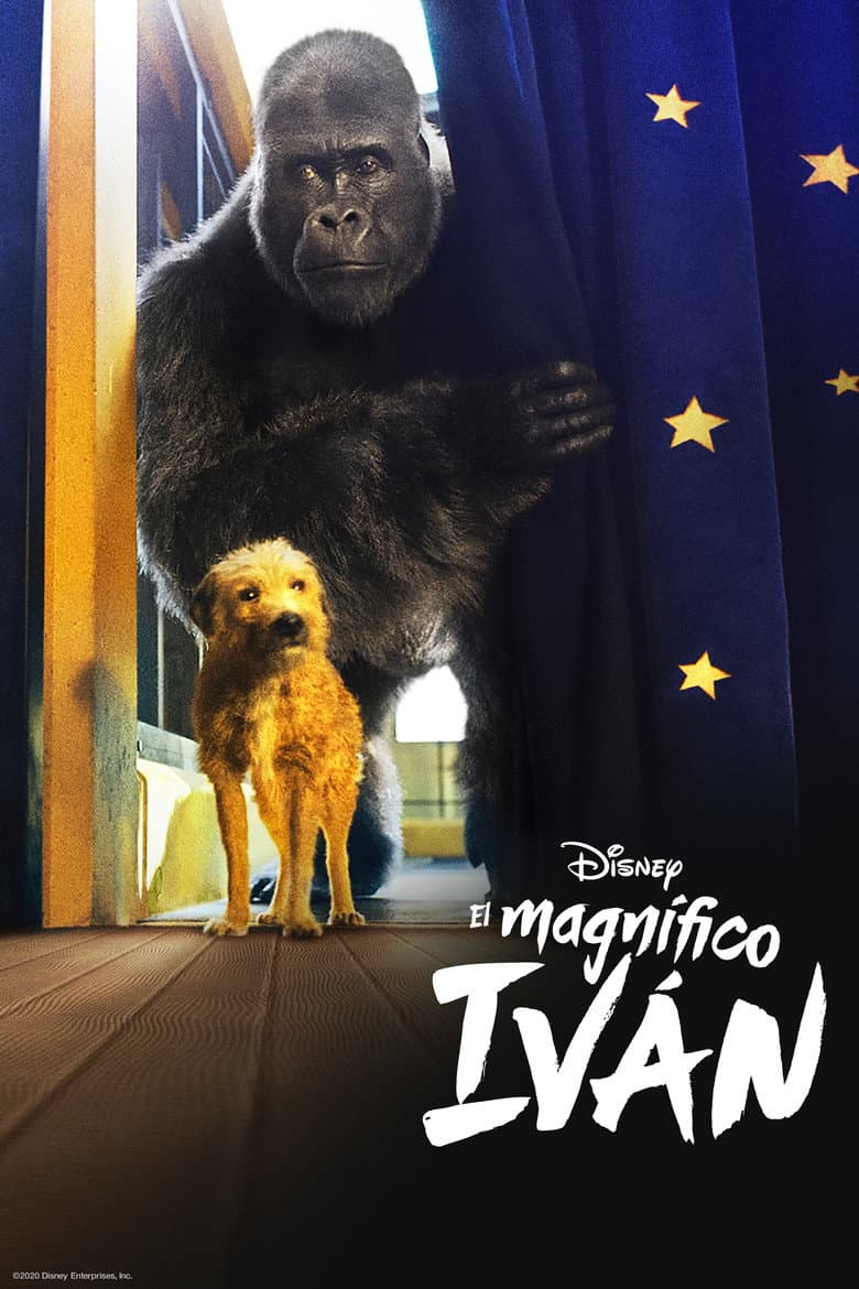 Ảnh poster