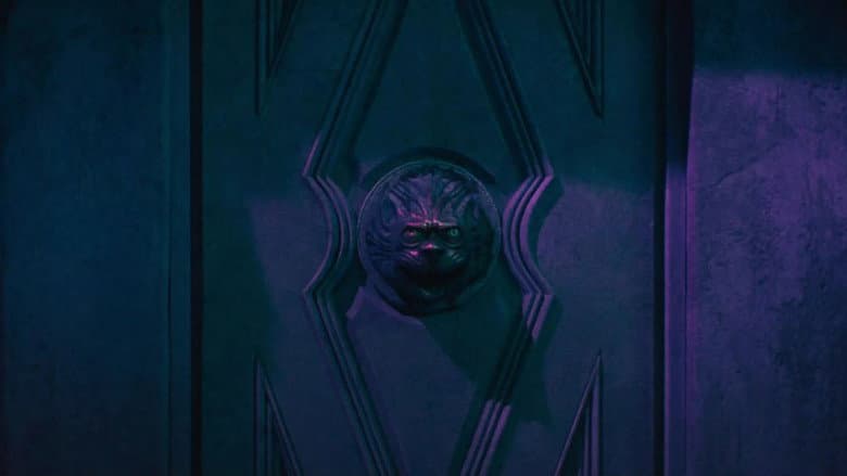 Ảnh backdrop