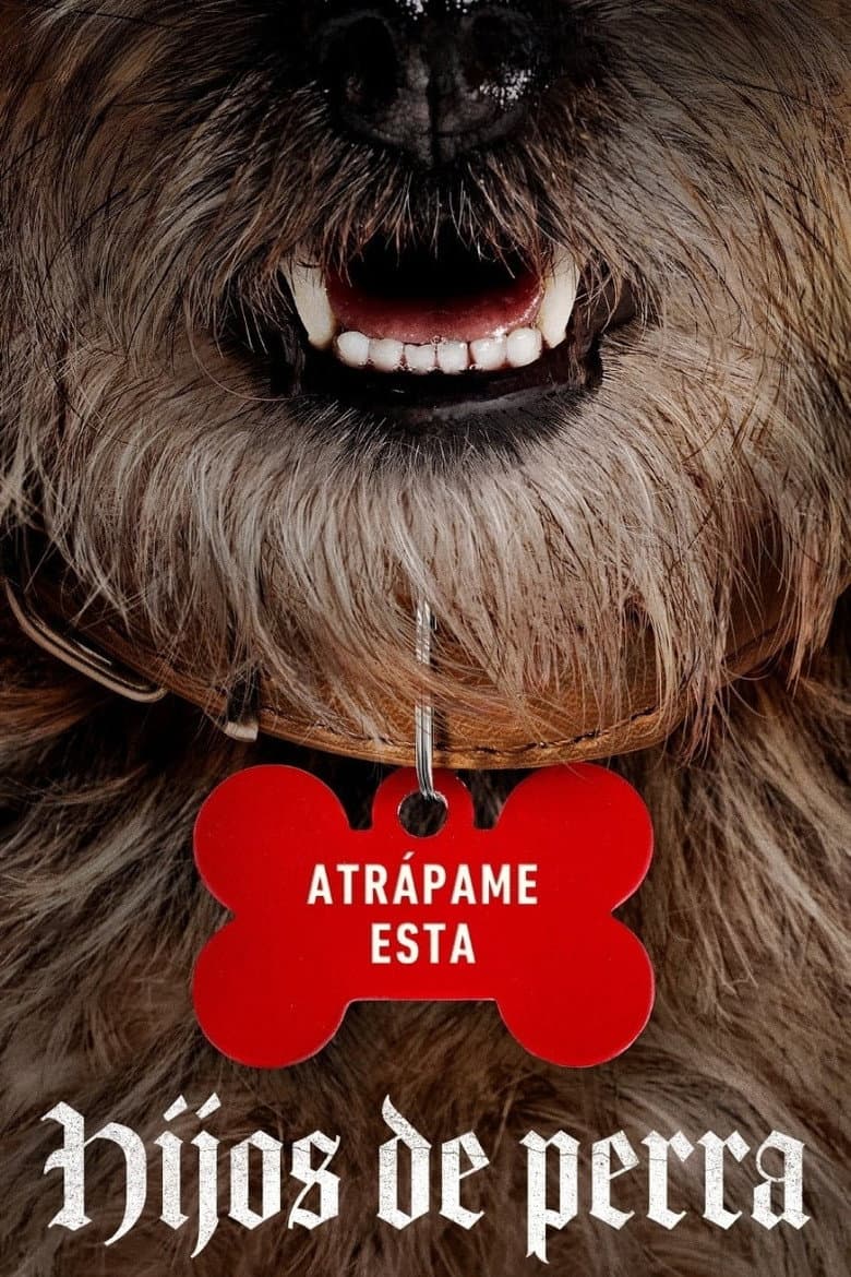 Ảnh poster