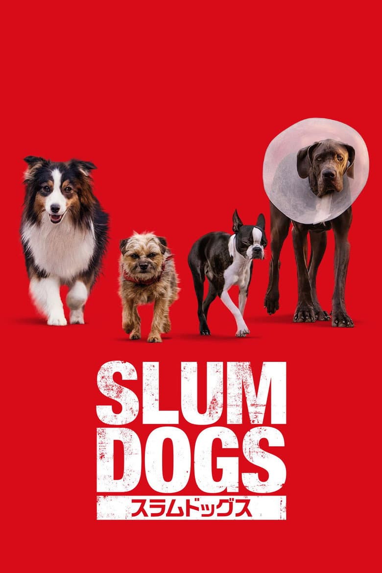 Ảnh poster