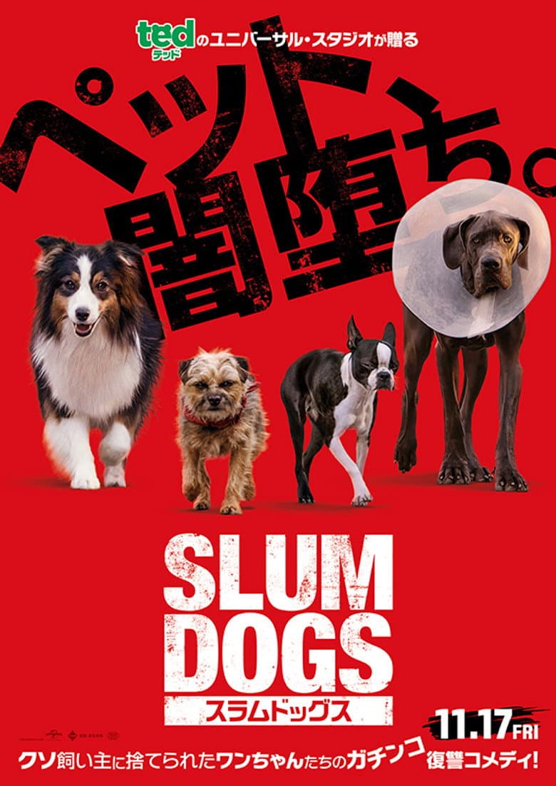 Ảnh poster