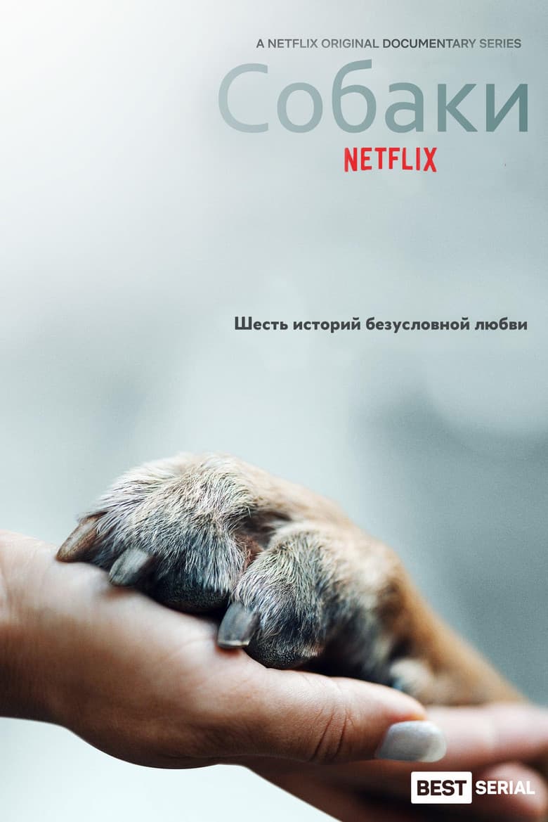 Ảnh poster