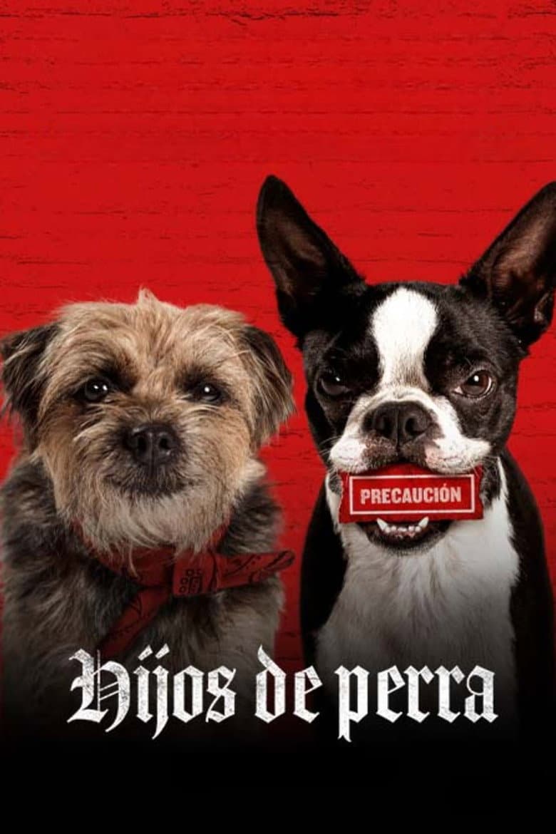 Ảnh poster