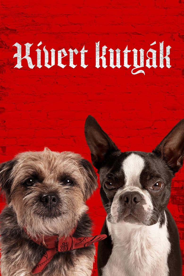 Ảnh poster