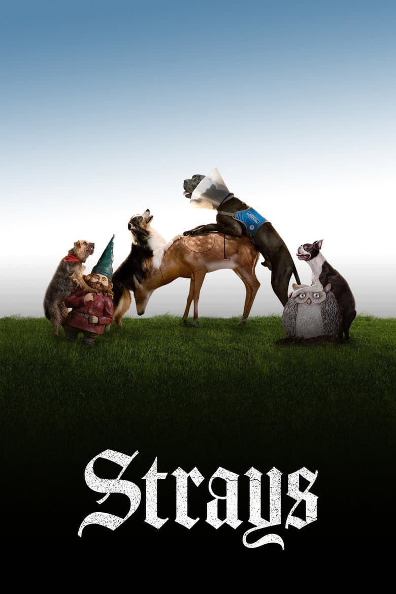 Ảnh poster