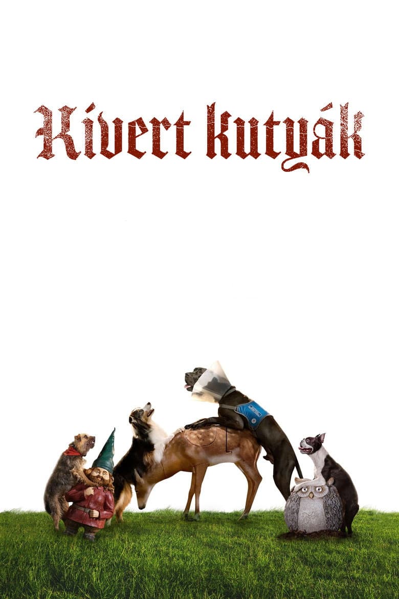 Ảnh poster