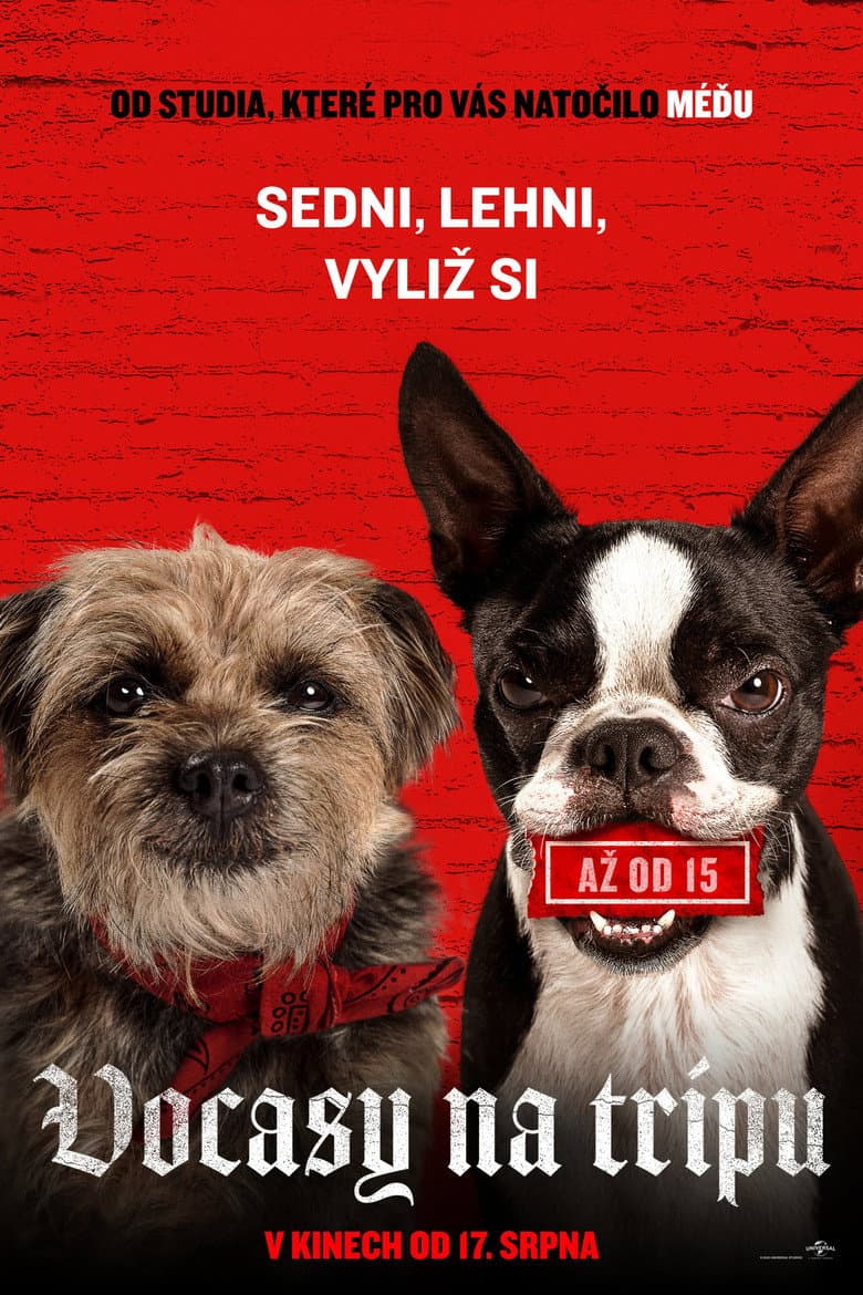 Ảnh poster