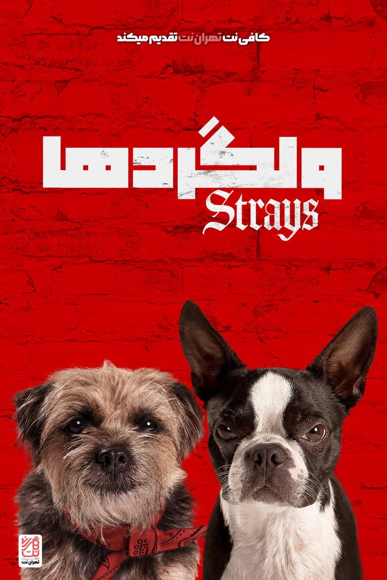Ảnh poster