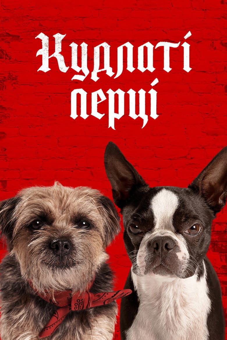 Ảnh poster