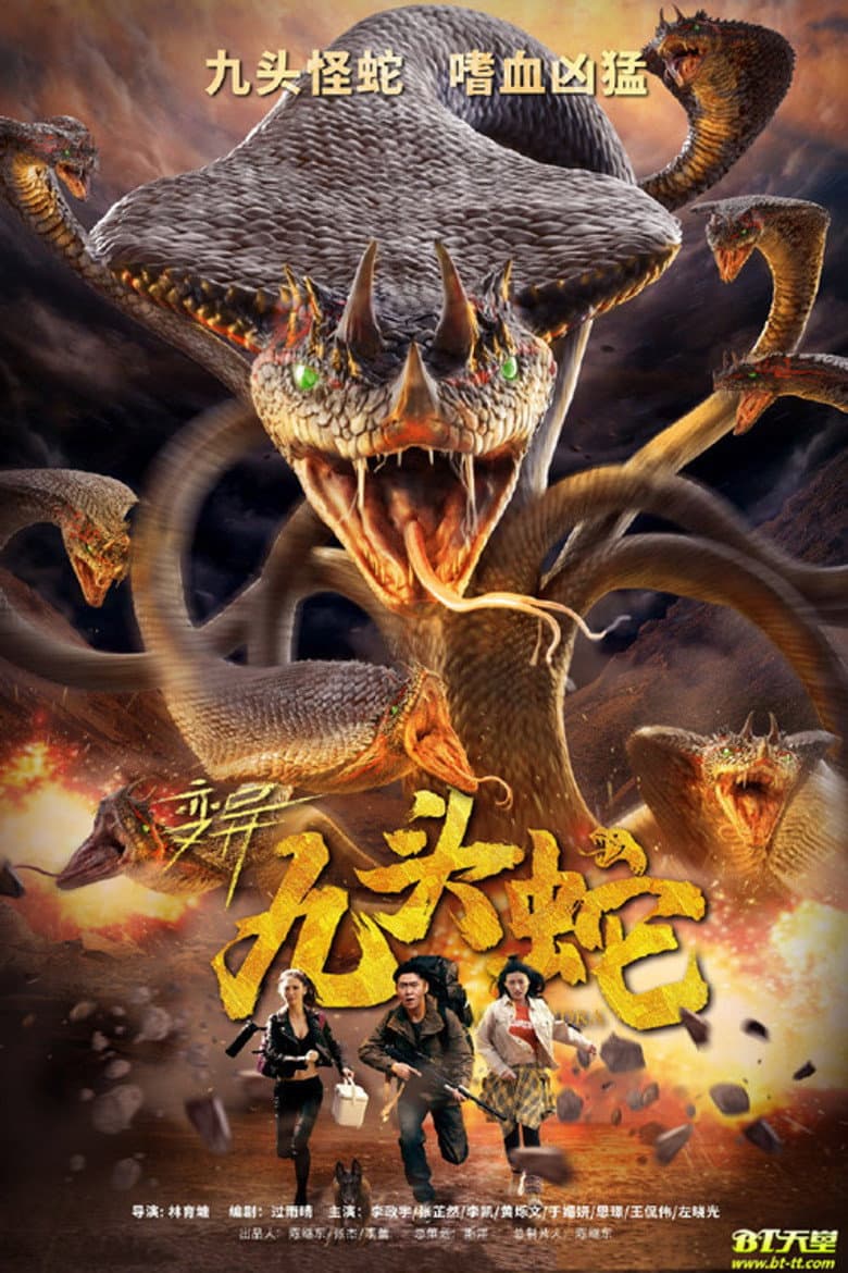 Ảnh poster