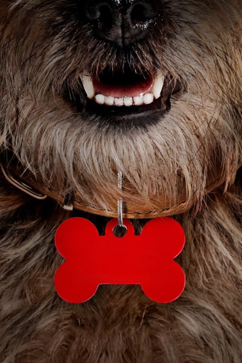 Ảnh poster