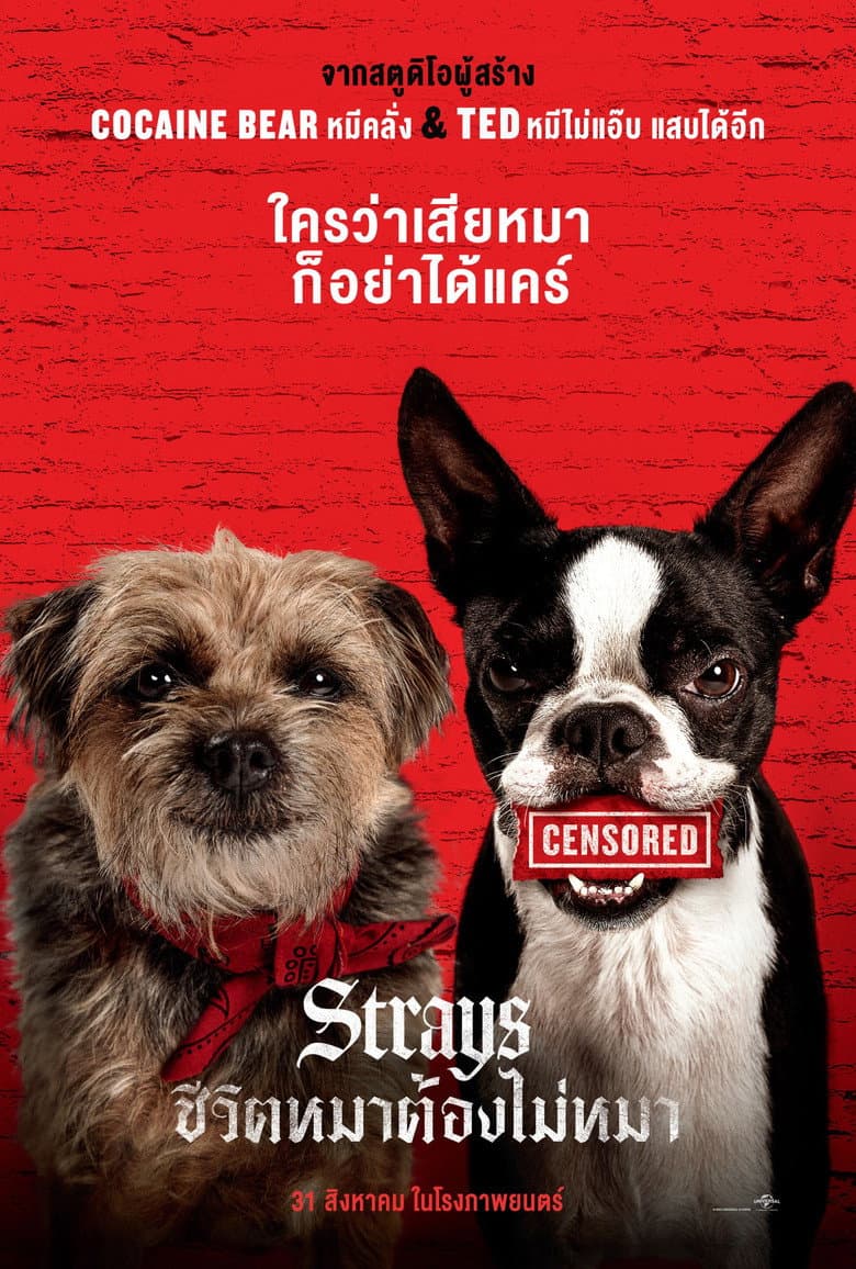 Ảnh poster
