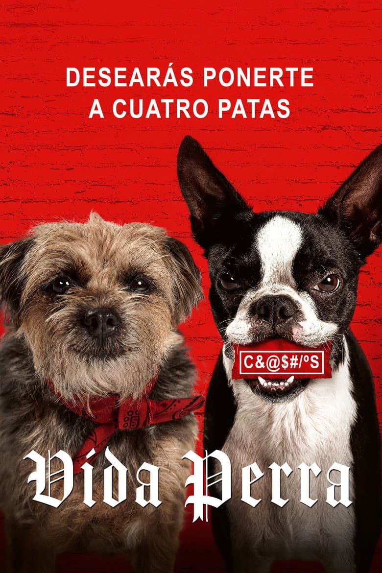 Ảnh poster