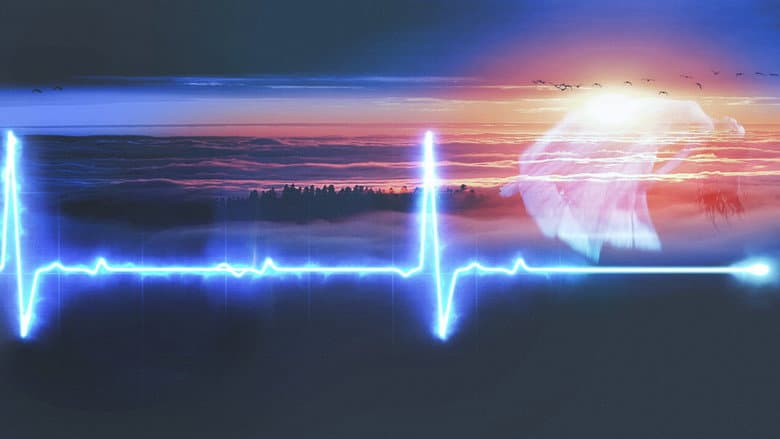 Ảnh backdrop