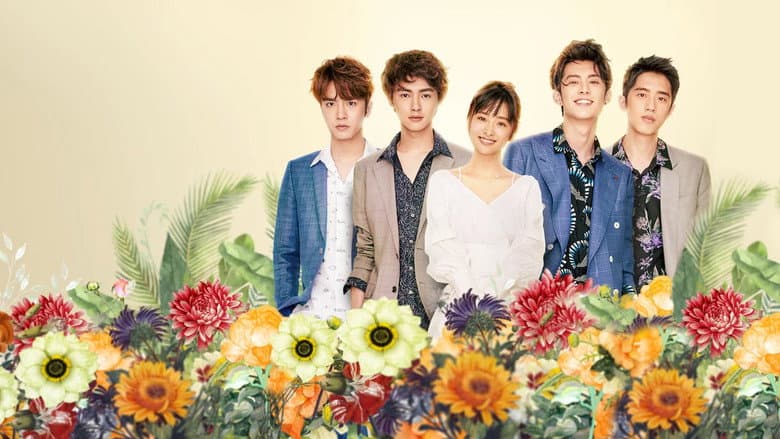 Ảnh backdrop