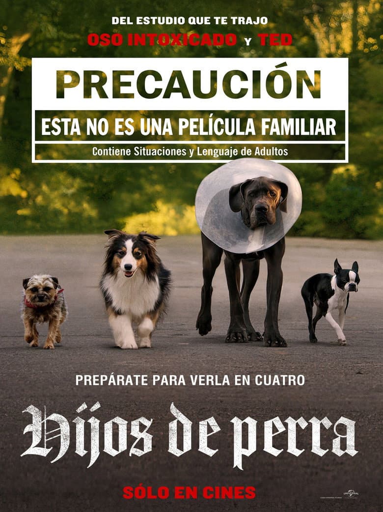 Ảnh poster