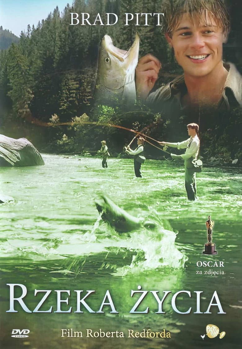 Ảnh poster