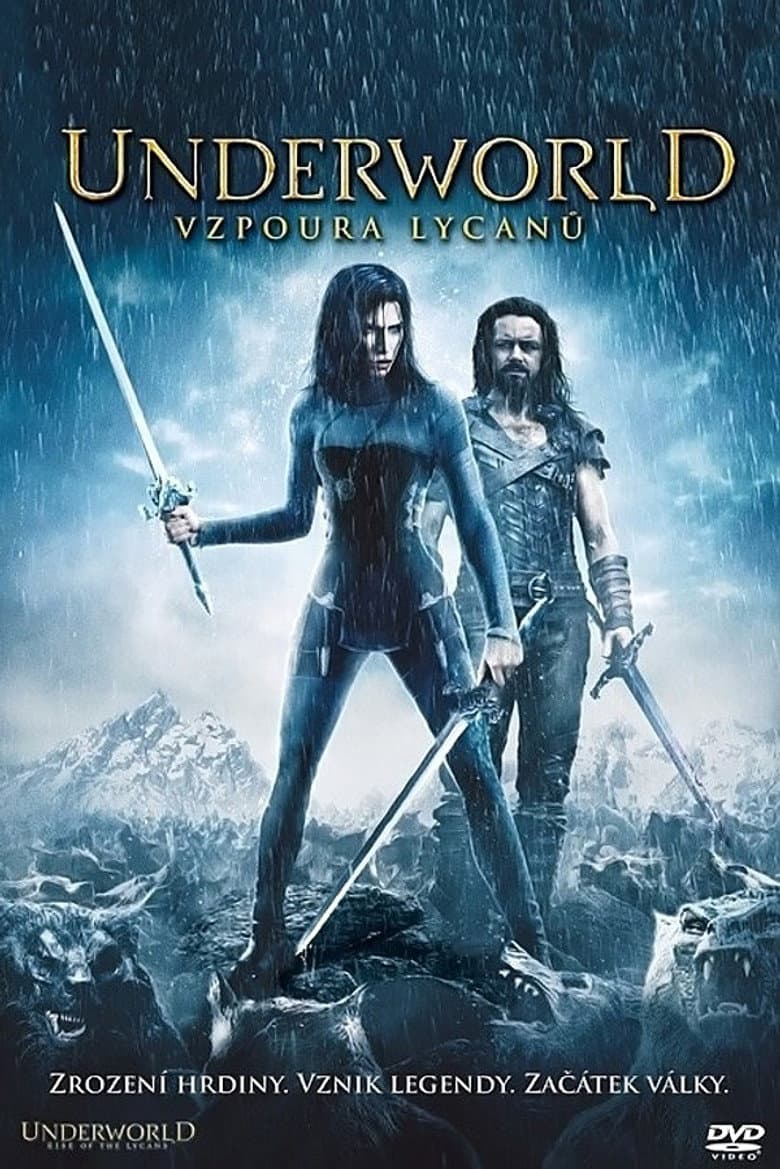 Ảnh poster