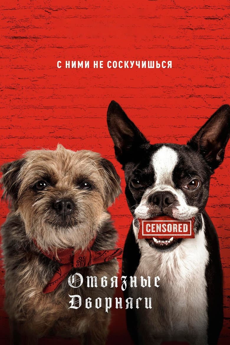 Ảnh poster