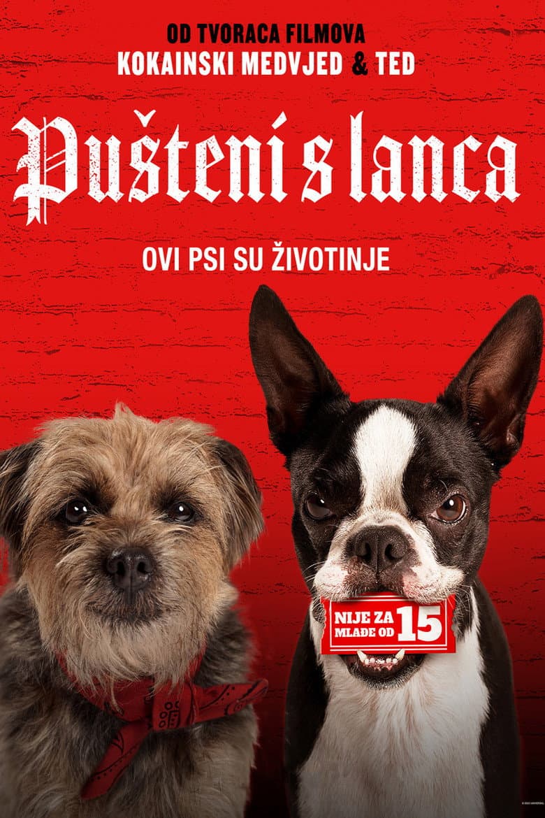 Ảnh poster