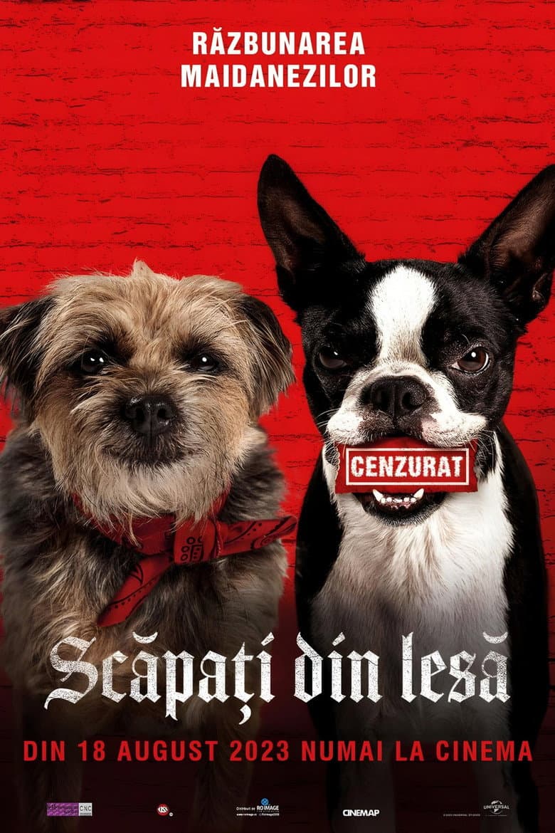 Ảnh poster