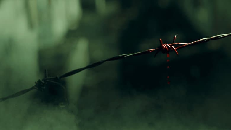Ảnh backdrop