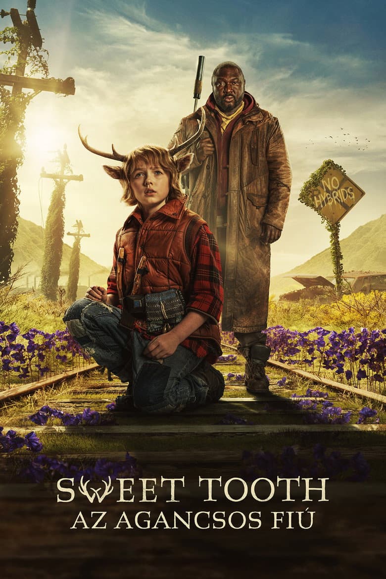 Ảnh poster