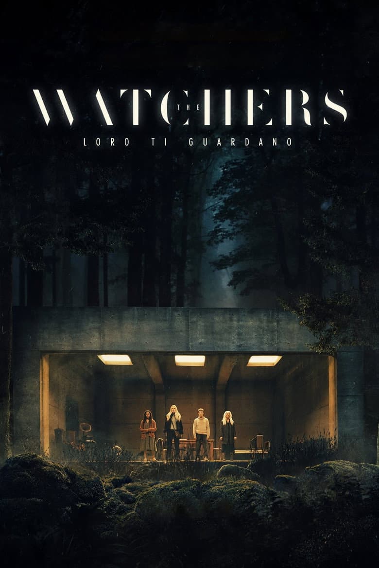 Ảnh poster