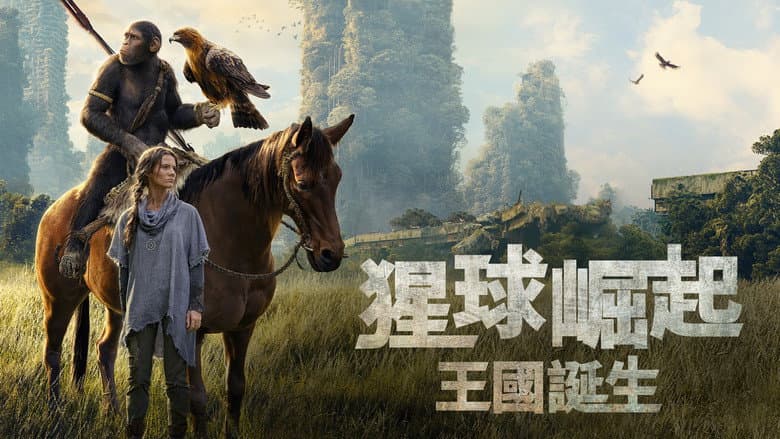 Ảnh backdrop