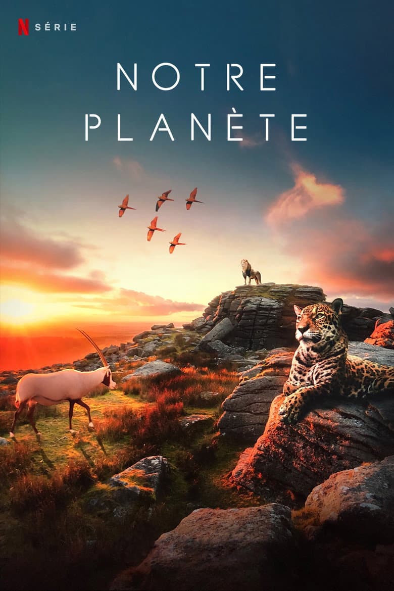 Ảnh poster